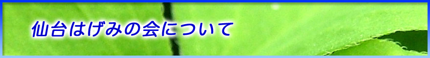 仙台はげみの会について